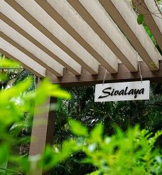 Yoga Alliance Certification (RYS)