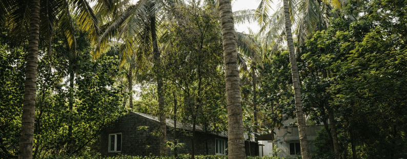 ChatGPT Image Mar 26, 2026, 06_08_27 PM