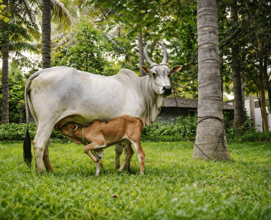 ChatGPT Image Mar 27, 2026, 06_48_24 AM